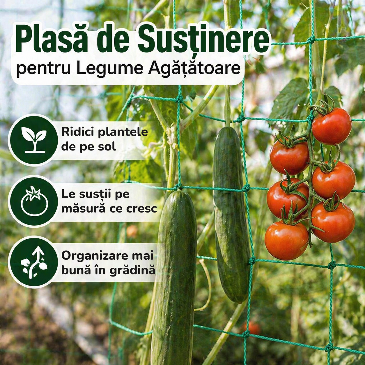 Plasa de Susținere pentru Legume Agățătoare