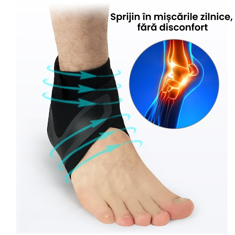 Set 2 Glezniere Reglabile cu Prindere Dublă